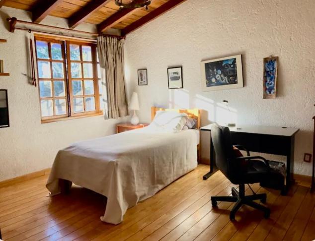 מקסיקו סיטי Casa Azul Las Hamacas מראה חיצוני תמונה