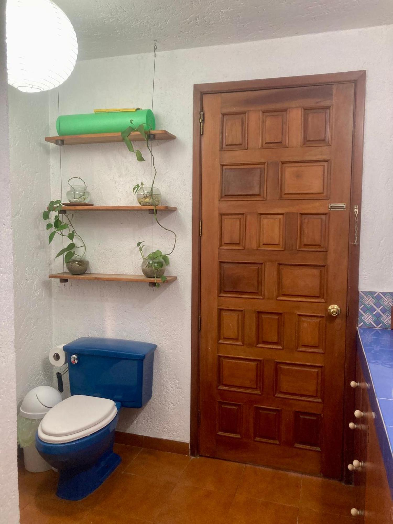 מקסיקו סיטי Casa Azul Las Hamacas מראה חיצוני תמונה