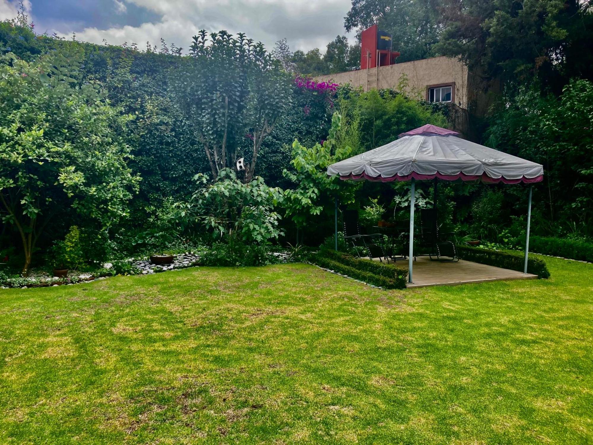 מקסיקו סיטי Casa Azul Las Hamacas מראה חיצוני תמונה