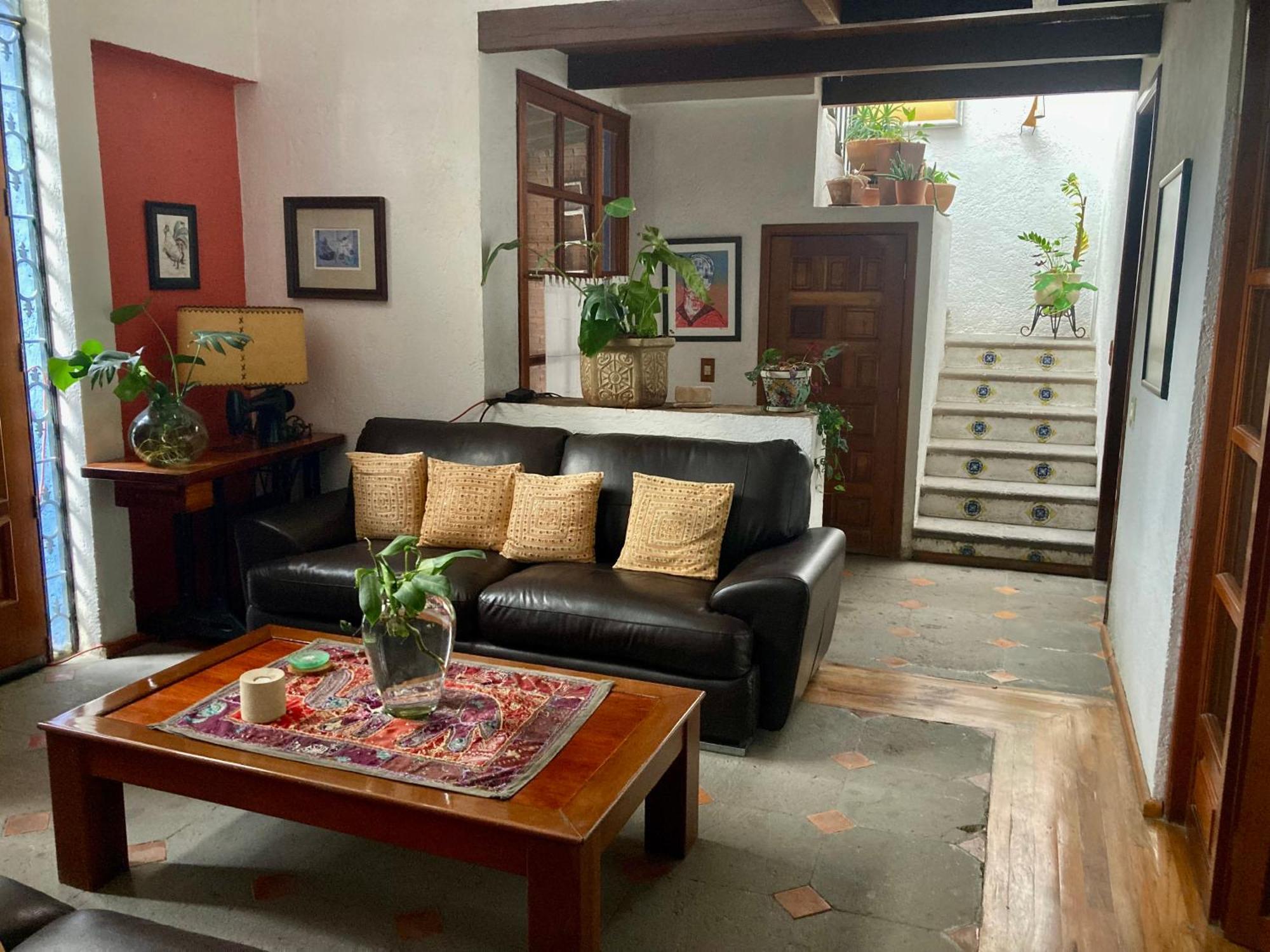 מקסיקו סיטי Casa Azul Las Hamacas מראה חיצוני תמונה